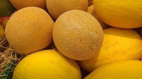 白肉吃哈密瓜,夏日清爽美食新体验