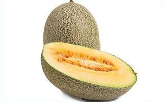四川人吃哈密瓜的口感,甜蜜碰撞，口感新体验