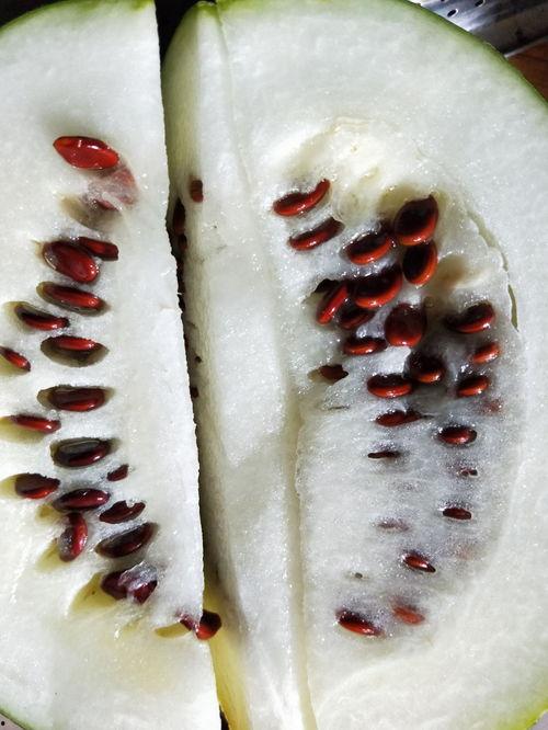 吃瓜吃皮,探寻吃瓜文化的魅力与内涵