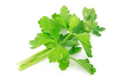 风寒感冒吃白瓜