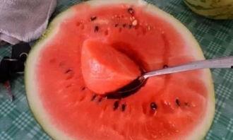 中国奇妙物语吃瓜,揭秘吃瓜群众的狂欢盛宴