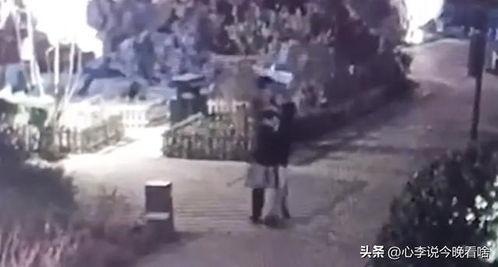 迁安吃瓜事件视频,一场网络舆论的风暴与反思